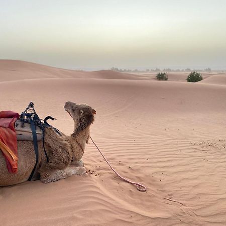 Erg Chebbi Sahara Camp Hotell Merzouga Eksteriør bilde